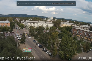Сквер - ул. Мира, 100
